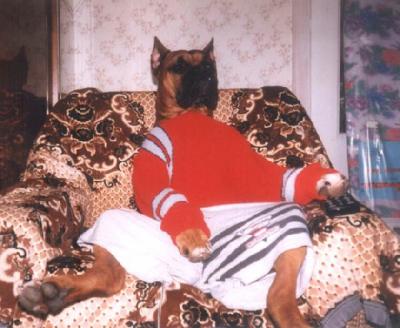 chof bache madeb9achi ka3i